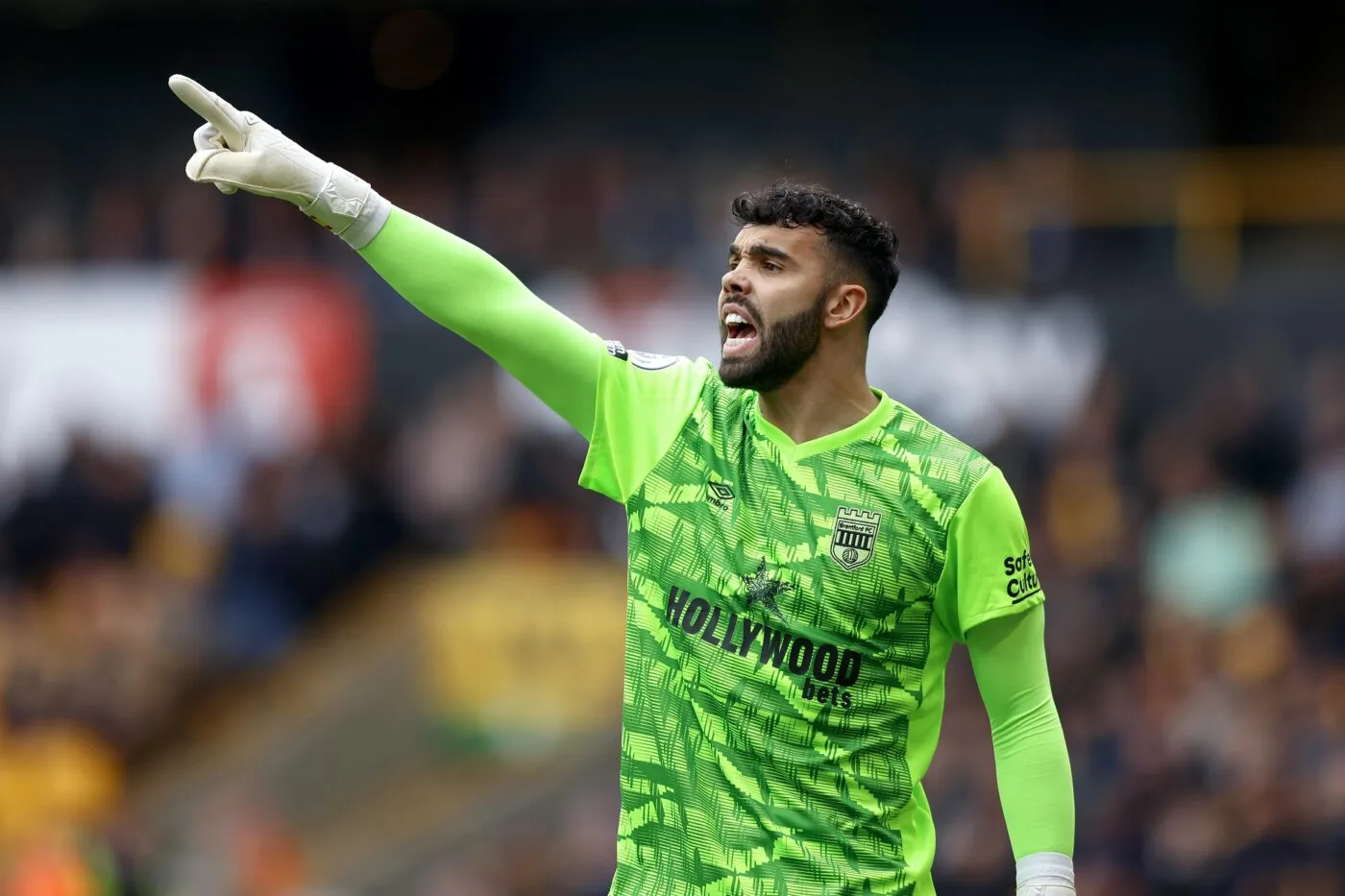 Tiểu Sử Của Thủ Môn David Raya (Mượn Tại Arsenal)