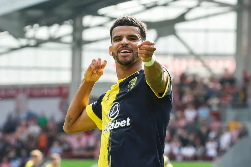 Tiểu Sử Của Tiền Đạo Dominic Solanke: Hành Trình Chinh Phục Sân Cỏ Ngoại Hạng Anh